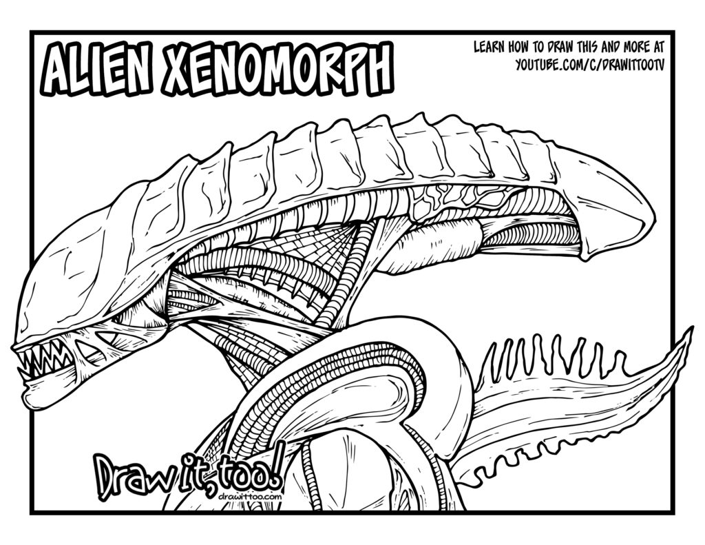 Alien Xenomorph Drawing Easy